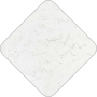 Eggshell : 3141