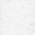 Pure White : 1141