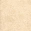Pure White : 1141