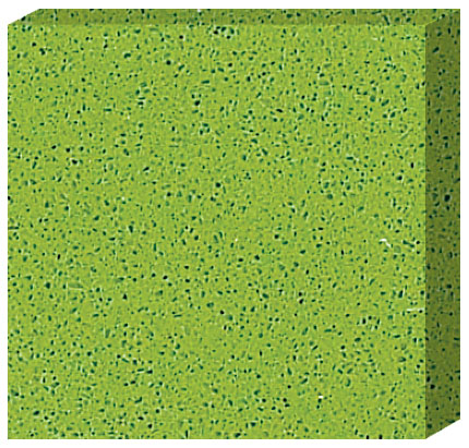 QS2035 - Fern